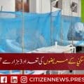 پاکستان: ڈینگی کے مریضوں کی تعداد 3 ہزار سے تجاوز کر گئی۔
