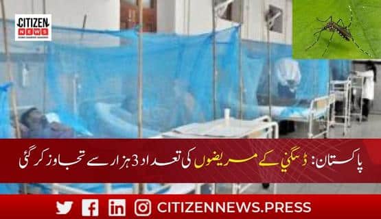 پاکستان: ڈینگی کے مریضوں کی تعداد 3 ہزار سے تجاوز کر گئی۔